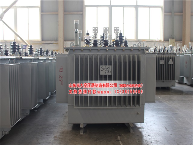 温州S22-4000KVA油浸式变压器